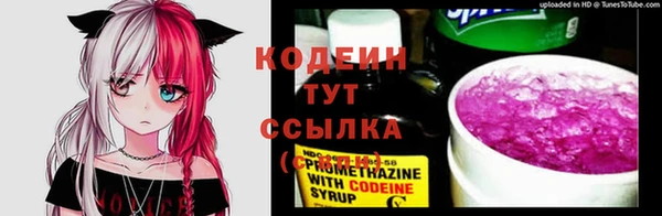 прущие грибы Богданович