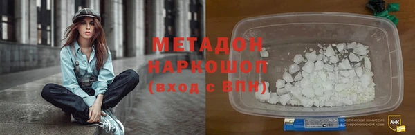 прущие грибы Богданович