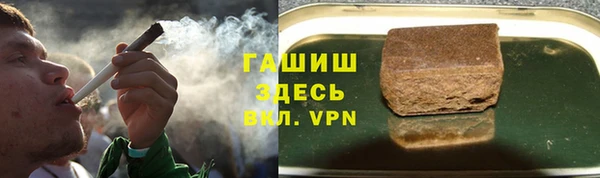 прущие грибы Богданович