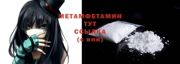 прущие грибы Богданович