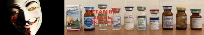 прущие грибы Богданович
