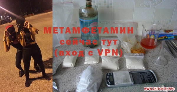 прущие грибы Богданович