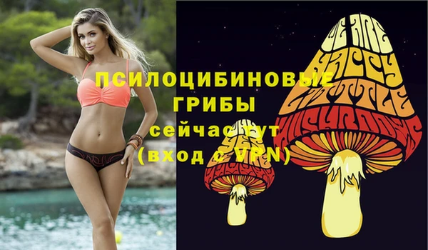 наркотики Богородицк