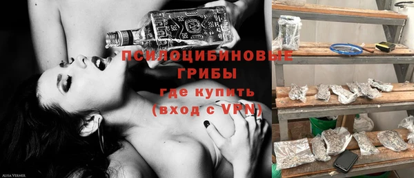 прущие грибы Богданович