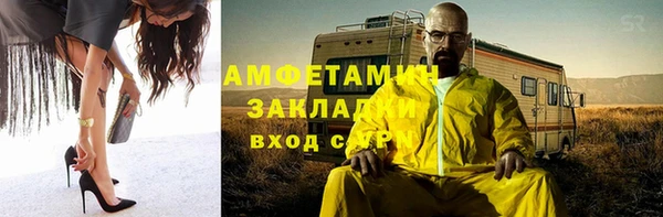 прущие грибы Богданович