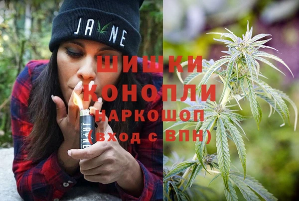 прущие грибы Богданович