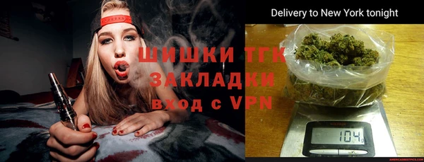 прущие грибы Богданович