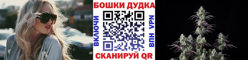 закладки  Новокубанск  Шишки марихуана сатива 